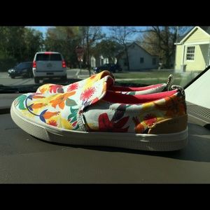 Limited edition TOMS